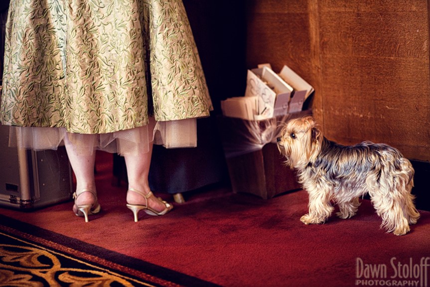 A dog sitting next to a woman in high heels.