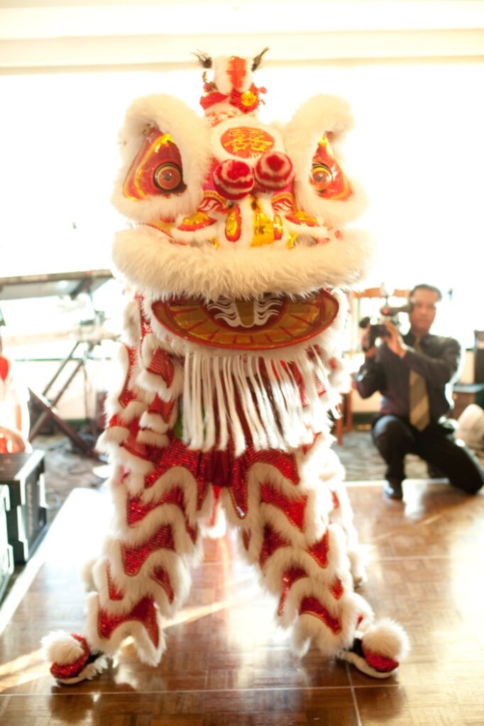 A person is taking pictures of a lion dance.